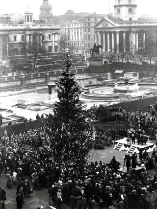 Illustration for article titled Trafalgar Square Christmas tree.